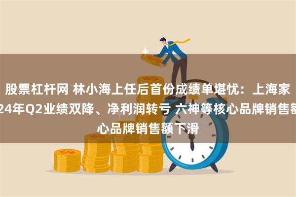 股票杠杆网 林小海上任后首份成绩单堪忧：上海家化2024年Q2业绩双降、净利润转亏 六神等核心品牌销售额下滑