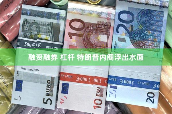 融资融券 杠杆 特朗普内阁浮出水面