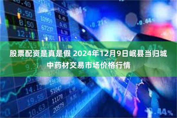 股票配资是真是假 2024年12月9日岷县当归城中药材交易市场价格行情