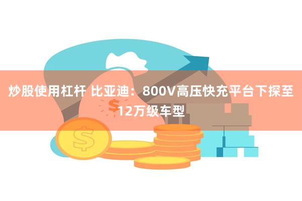 炒股使用杠杆 比亚迪：800V高压快充平台下探至12万级车型