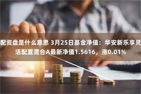 配资盘是什么意思 3月25日基金净值：华安新乐享灵活配置混合A最新净值1.5616，涨0.01%