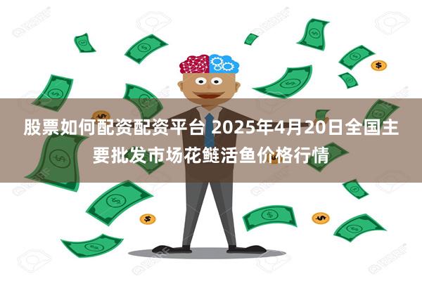 股票如何配资配资平台 2025年4月20日全国主要批发市场花鲢活鱼价格行情