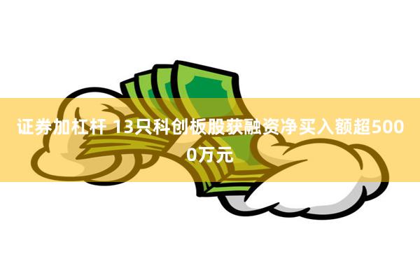 证券加杠杆 13只科创板股获融资净买入额超5000万元