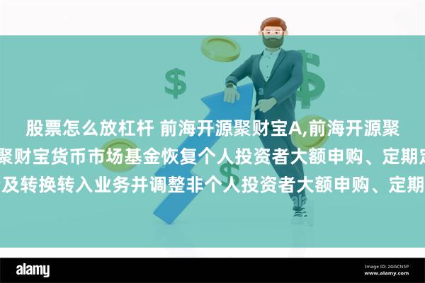 股票怎么放杠杆 前海开源聚财宝A,前海开源聚财宝B: 关于前海开源聚财宝货币市场基金恢复个人投资者大额申购、定期定额投资及转换转入业务并调整非个人投资者大额申购、定期定额投资及转换转入业务限制的公告