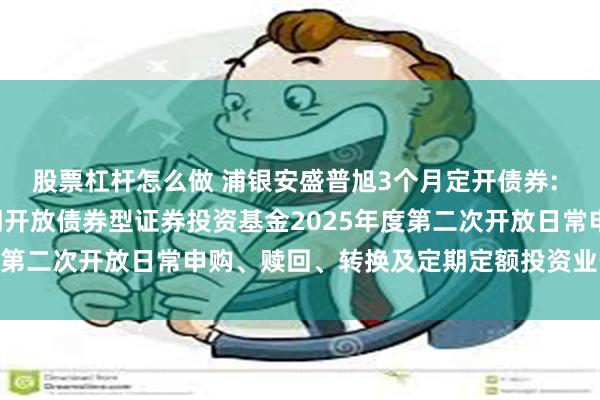 股票杠杆怎么做 浦银安盛普旭3个月定开债券: 浦银安盛普旭3个月定期开放债券型证券投资基金2025年度第二次开放日常申购、赎回、转换及定期定额投资业务的公告