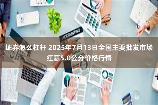 证券怎么杠杆 2025年7月13日全国主要批发市场红蒜5.0公分价格行情