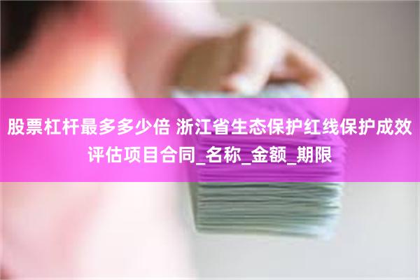 股票杠杆最多多少倍 浙江省生态保护红线保护成效评估项目合同_名称_金额_期限