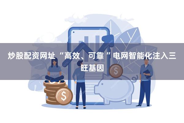炒股配资网址 “高效、可靠 ”电网智能化注入三旺基因