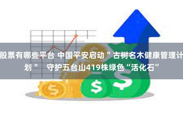 股票有哪些平台 中国平安启动＂古树名木健康管理计划＂   守护五台山419株绿色“活化石”