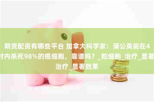 期货配资有哪些平台 加拿大科学家：蒲公英能在48小时内杀死98%的癌细胞，靠谱吗？_粒细胞_治疗_显著效果
