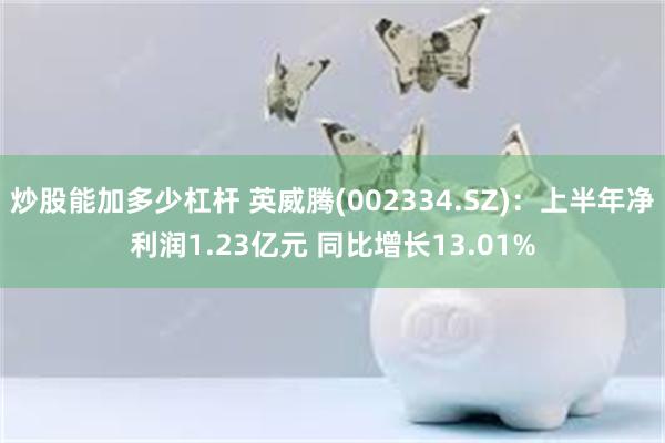 炒股能加多少杠杆 英威腾(002334.SZ)：上半年净利润1.23亿元 同比增长13.01%